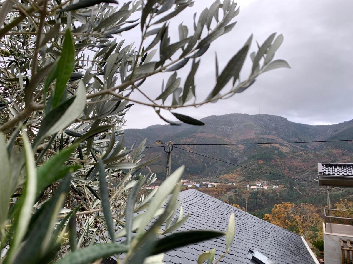 ヴィラ・レアル Casa Do Julien Mountain Experienceヴィラ エクステリア 写真